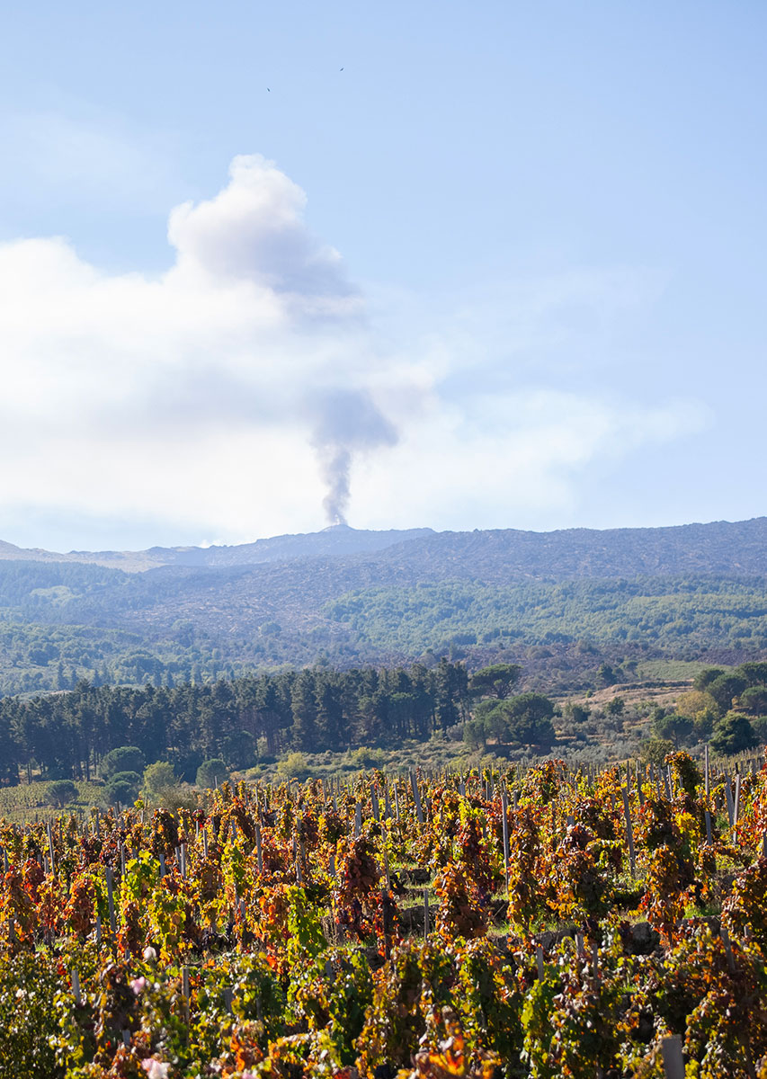 Palmento Costanzo - Etna
