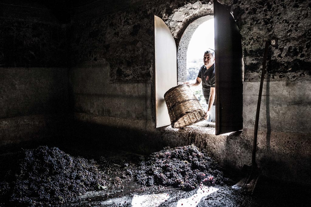 Palmento Costanzo - Etna